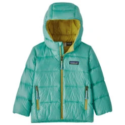 Patagonia Baby's Hi-Loft Down Sweater Hoody - Donsjack -Winterkleding Winkel patagonia babys hi loft down sweater hoody donsjack 4